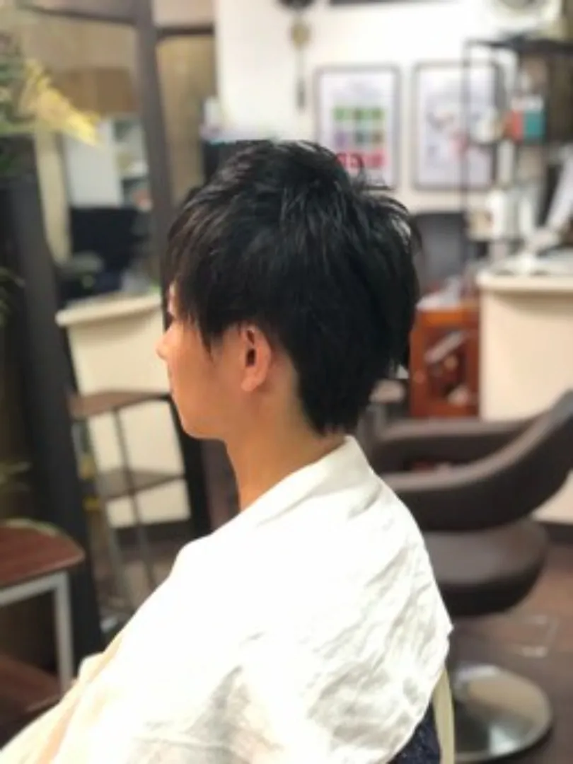 さわかやショート 